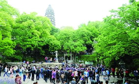 旅游服务新篇章 以品质提升为核心，借力广告与传播媒体运营引客来